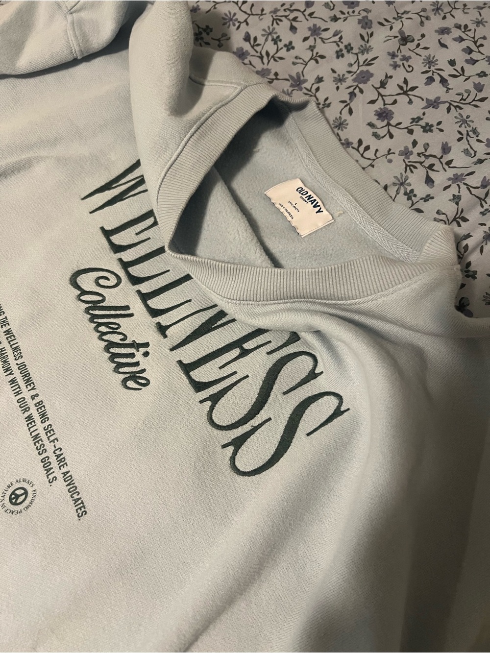 Wellness Collective Sweatshirt & Sweatpants Set - Baby Blue - Picture 5 of 8